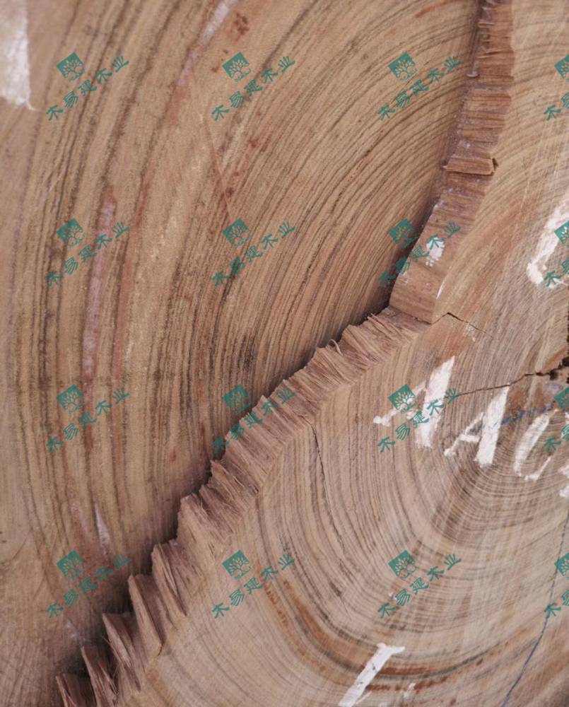 乌金小斑马红斑马木赛鞋木豆出材率高便宜