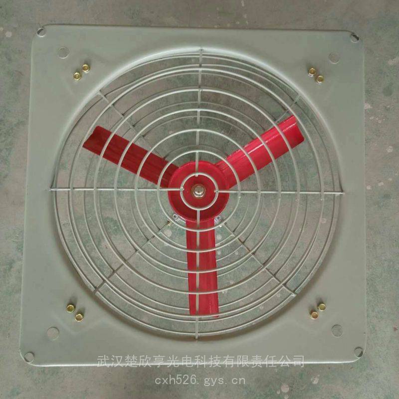 防爆风扇 摇头扇 BTS-750/380 木模间安装防爆灯 工业大风扇HVLS-DF55