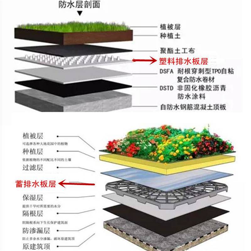 园林绿化排水板供应塑料透水疏水板镂空凹凸型滤水板