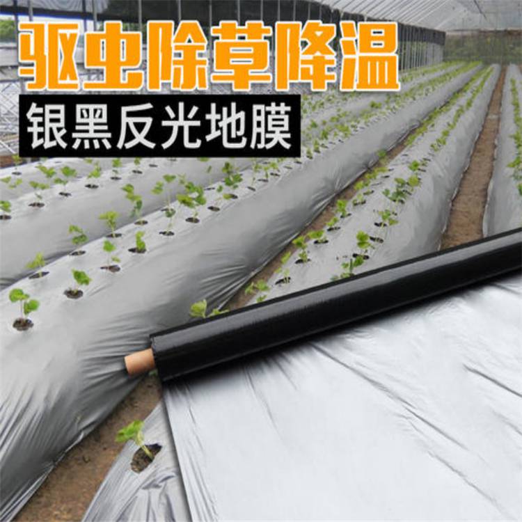 反光膜 果树增色反光膜 提升果实颜色 银灰反光膜生产厂家
