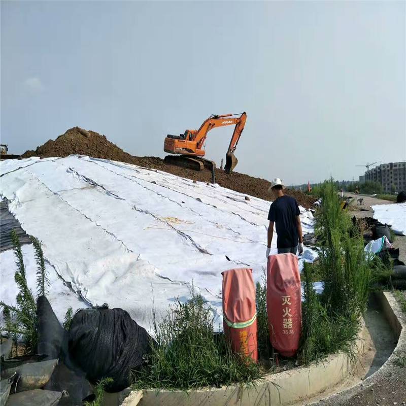 900g复合土工膜 堤坝护坡