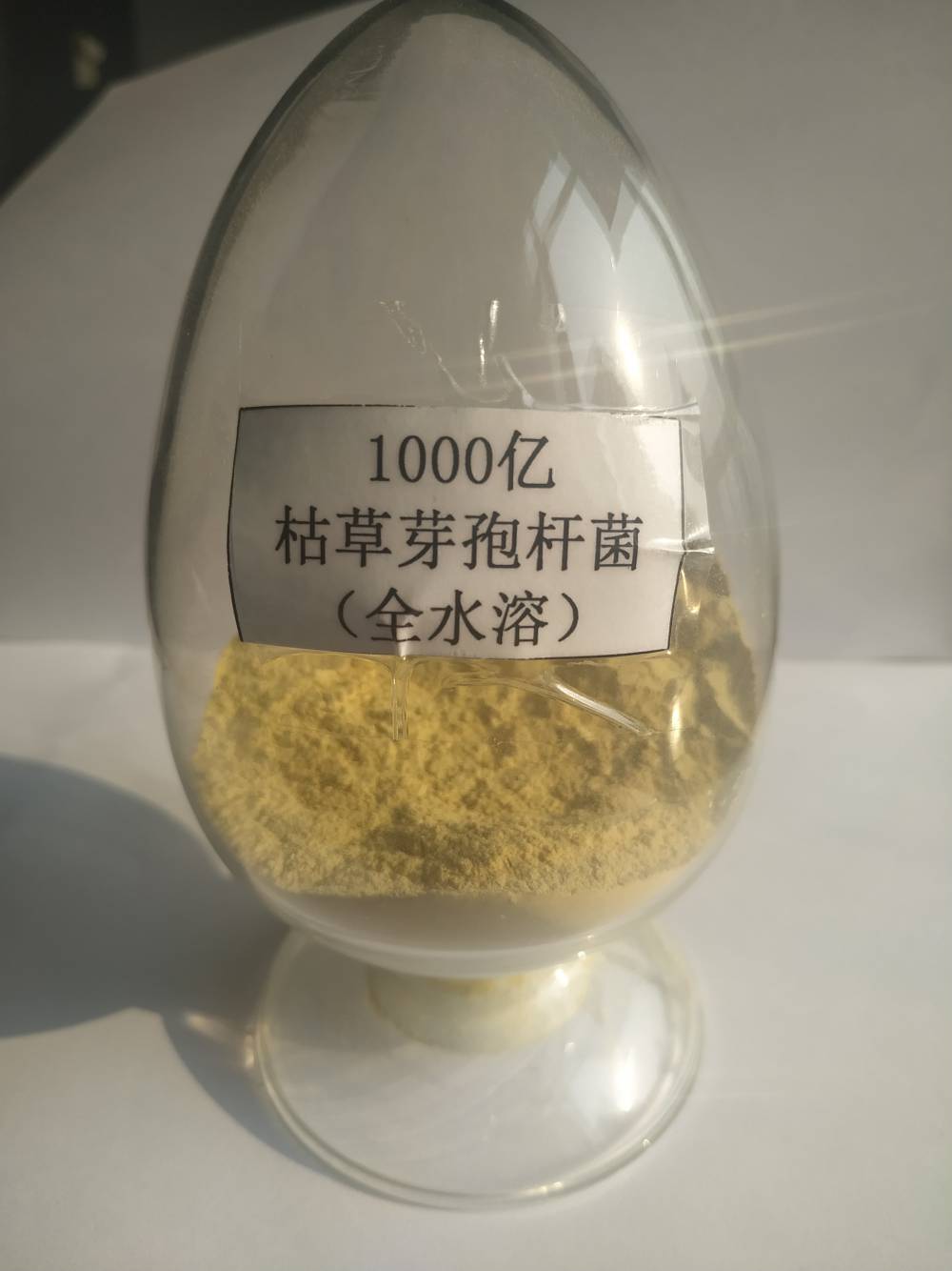 硝化细菌污水处理菌潍坊硝化细菌