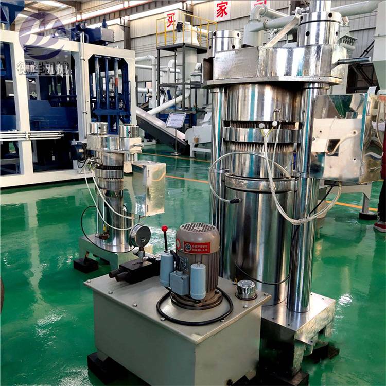 德辉立式液压榨油机15公斤核桃油压榨机自动芝麻香油机