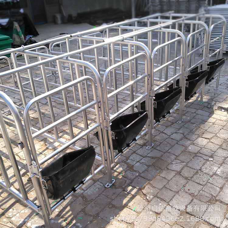 母猪产床定位栏10猪位限位栏带钢板食槽猪场养殖设备
