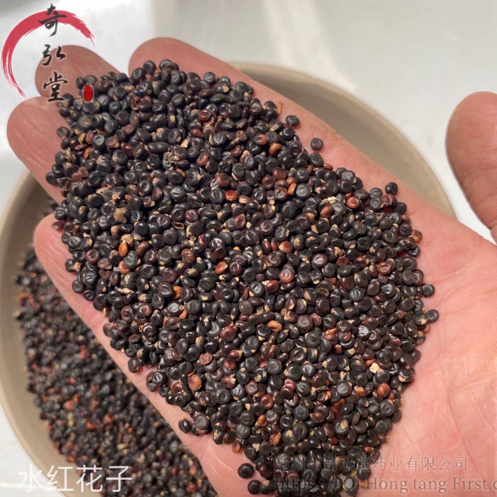 中药材水红花子水红花子药材实物实拍