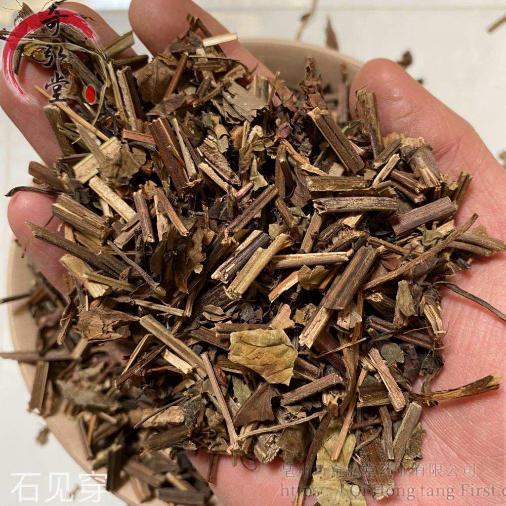 石见穿中药材石见穿哪里购买便宜