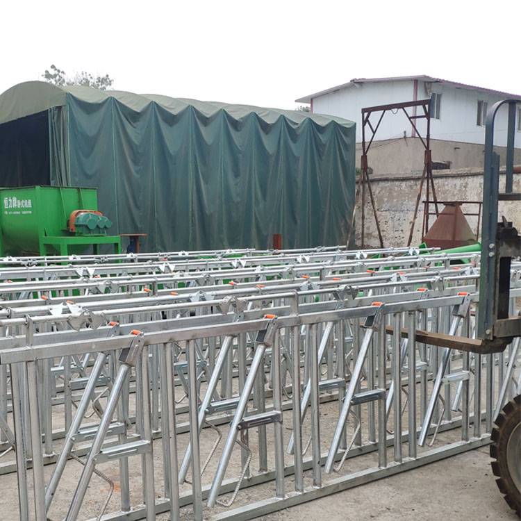 恒力单体双体牛卧床奶牛场休息保定设备牛卧栏安装视频