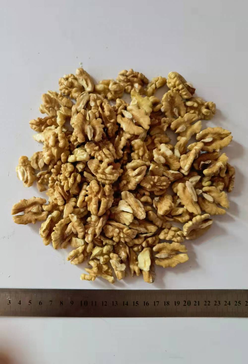 原味纸皮核桃新货新疆新鲜核桃肉大核桃仁图片