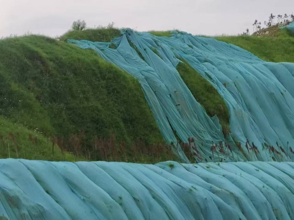 边坡防护网 三维网 铁丝勾花网 加筋麦克垫 客土喷播专用网 矿山治理