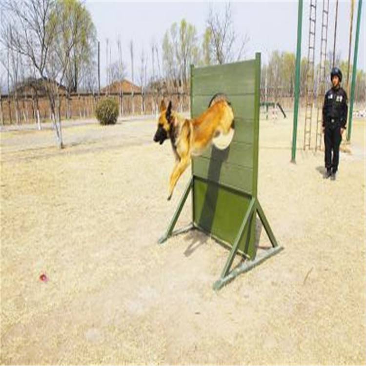 DC-3266 警犬训练器材 训犬障碍器材 钢木结合