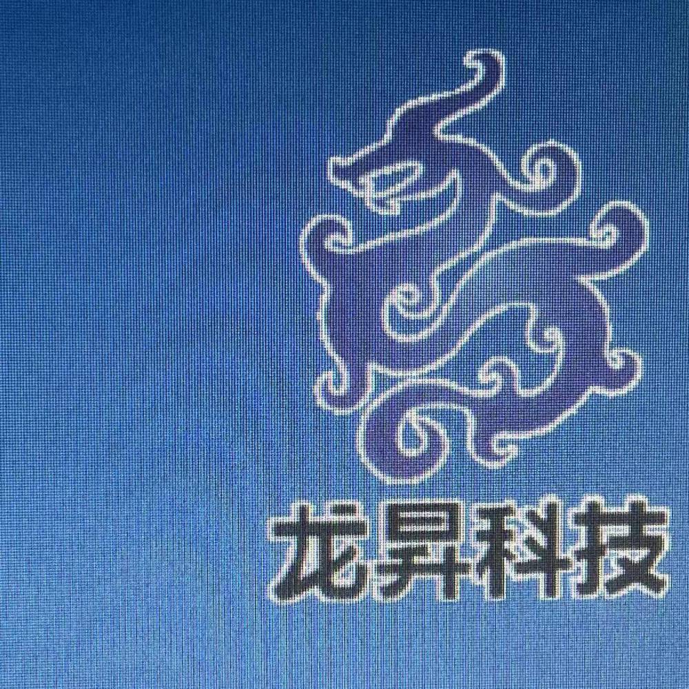 大连龙昇科技发展有限公司