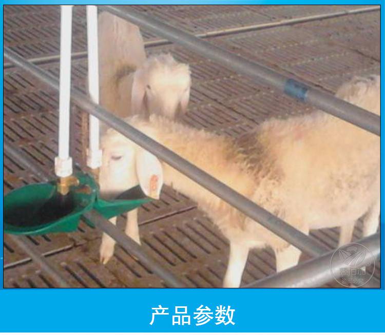羊用饮水碗 羔羊自动饮水器 羊用饮水槽盆 碳钢羊水碗 喂水神器