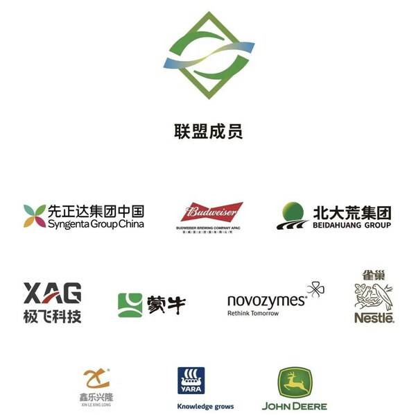 联盟成员 联盟成员