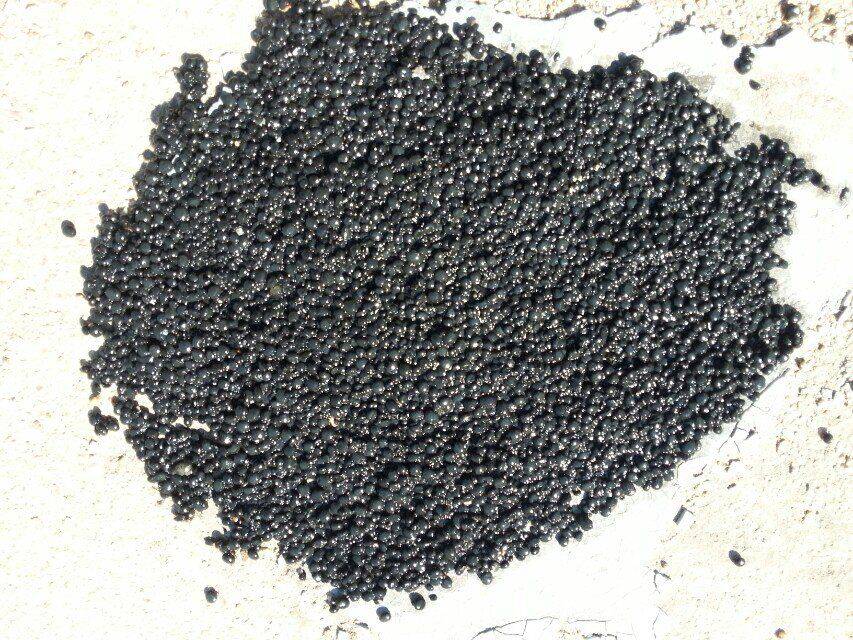 柠檬酸厌氧颗粒污泥厂家批发