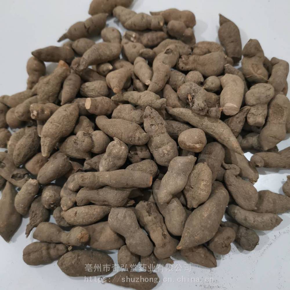 石老鼠价格石老鼠哪里买得到