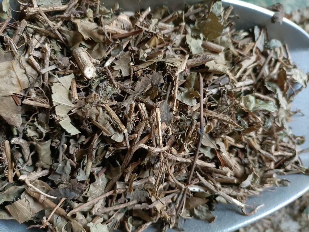 爬山虎批发供应中药材爬山虎