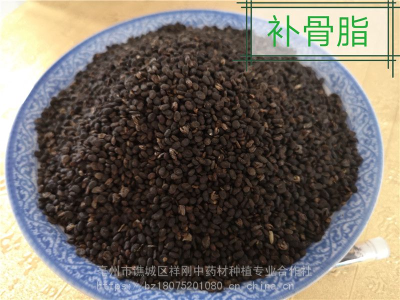 补骨脂的药用价值补骨脂哪里购买多少钱一公斤中国亳州中药材批发网