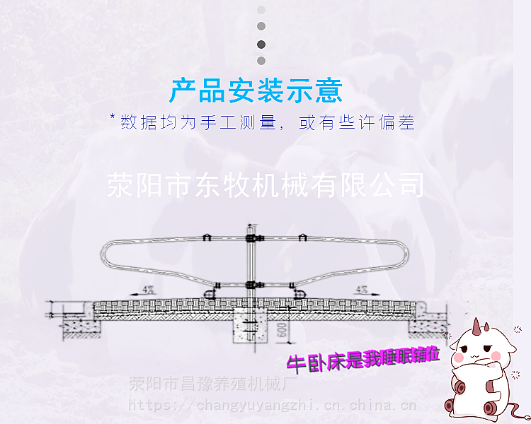 奶牛场为牛提供休息使用牛卧栏牛卧床作用奶牛定位栏