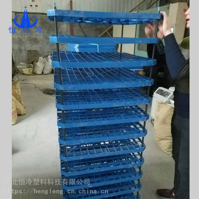 黑龙江网格填料多钱一块_网格填料用途_恒冷塑料