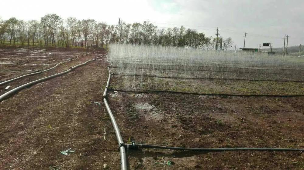 微喷带 灌溉均匀 安装简单 铺设方便 使用寿命长