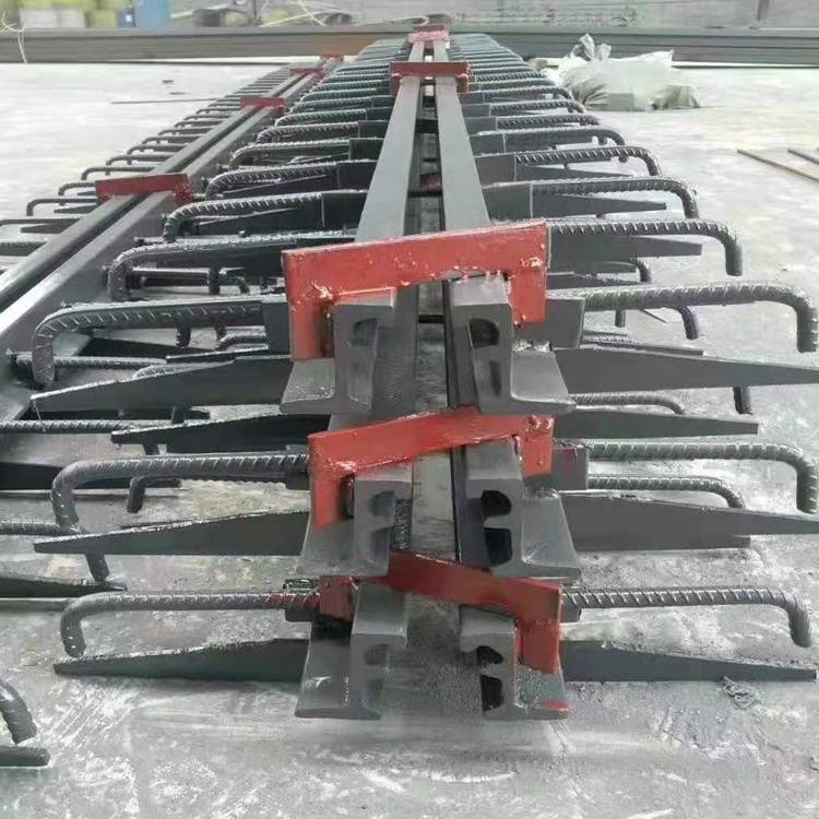 梳齿型桥梁伸缩缝 降噪耐腐蚀 模数式DF160建筑变形缝 永瑞