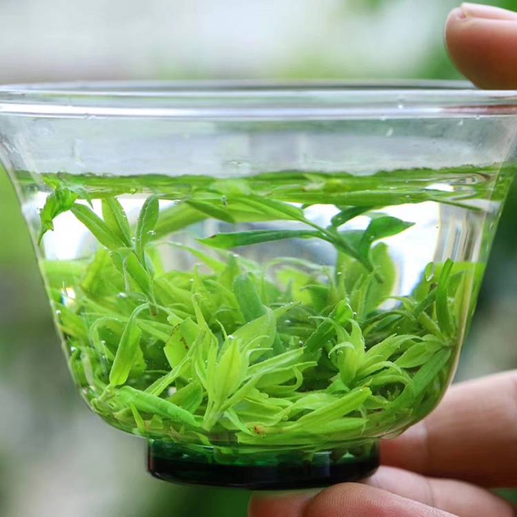 散茶小叶苦丁绿茶青山绿水茶叶批发2020新茶春茶散装黄山苦丁茶批发