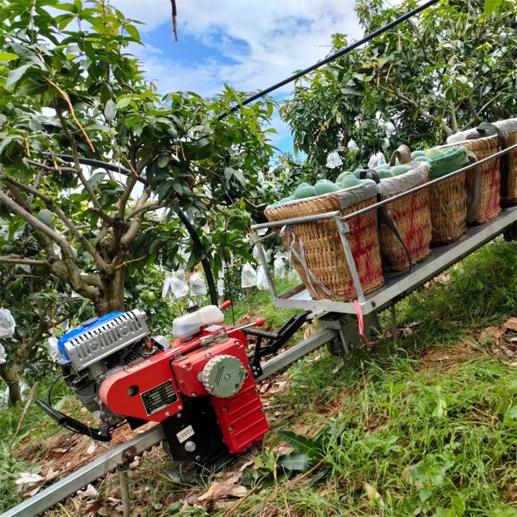 【山地果园运输车 单轨道运输机 农用山地水果运输搬运设备】山东济宁