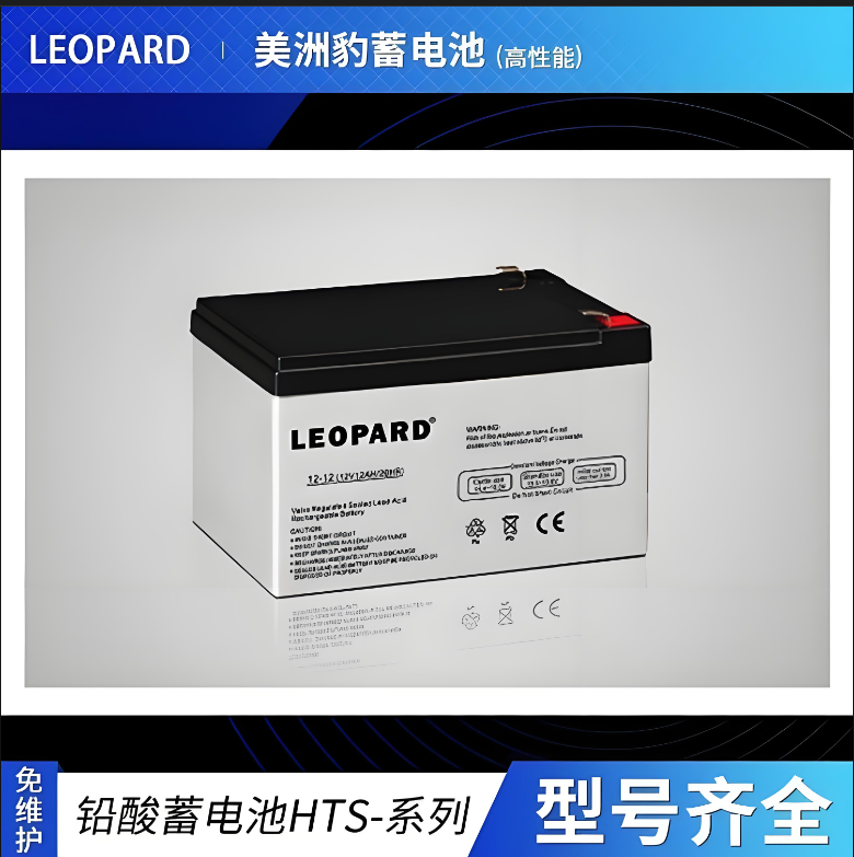 LEOPARD美洲豹蓄电池HT2-600 2V600AH总代理厂家免维护洗地机