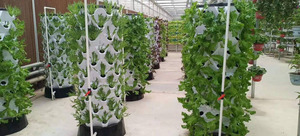 青州鑫泽温室无土栽培立体种植菠萝式种植架无土栽培玻璃温室种植