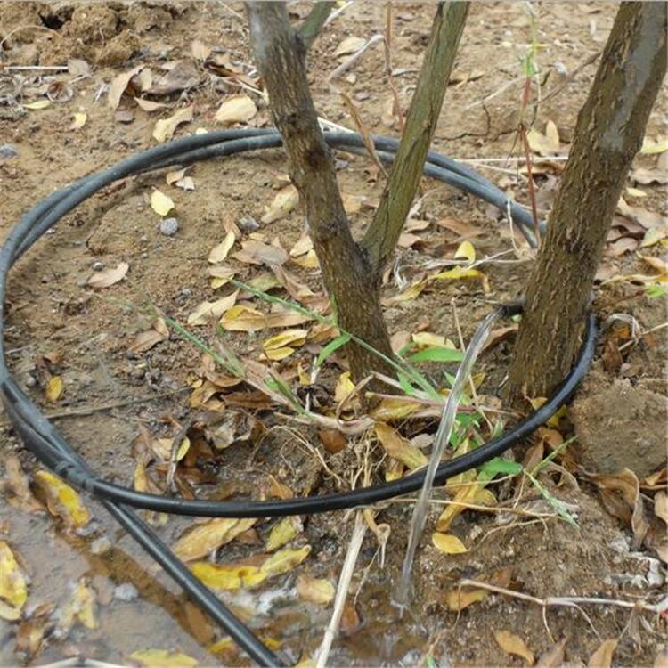 江西吉安流量可调节滴头灌溉小红帽滴头可调滴灌滴头小红帽滴头厂家