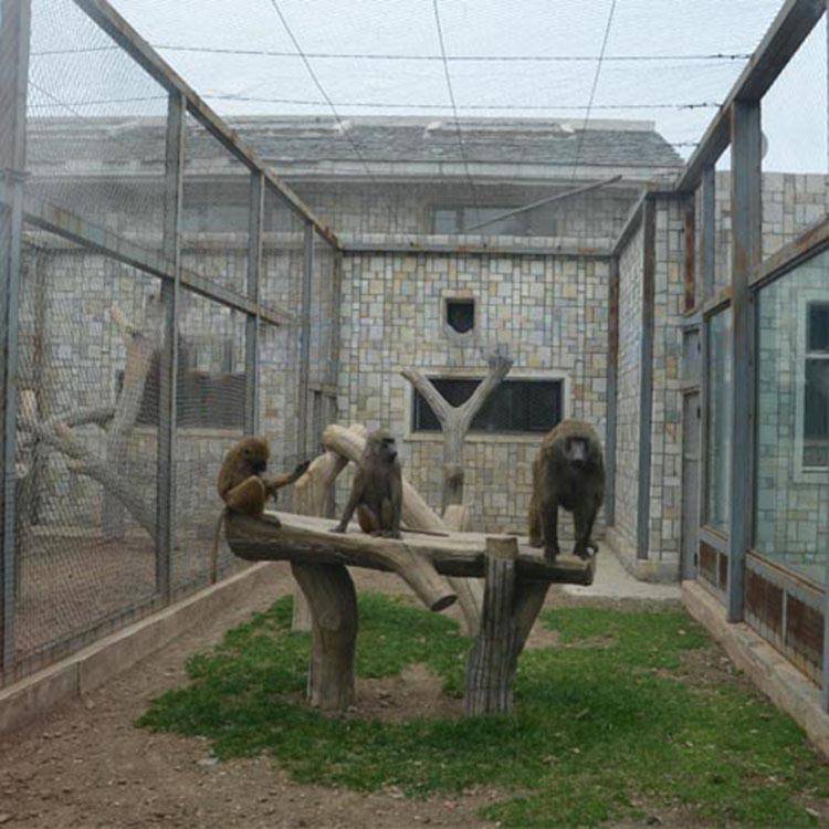 孔雀笼舍网孔雀养殖围网不锈钢绳网必选创辉