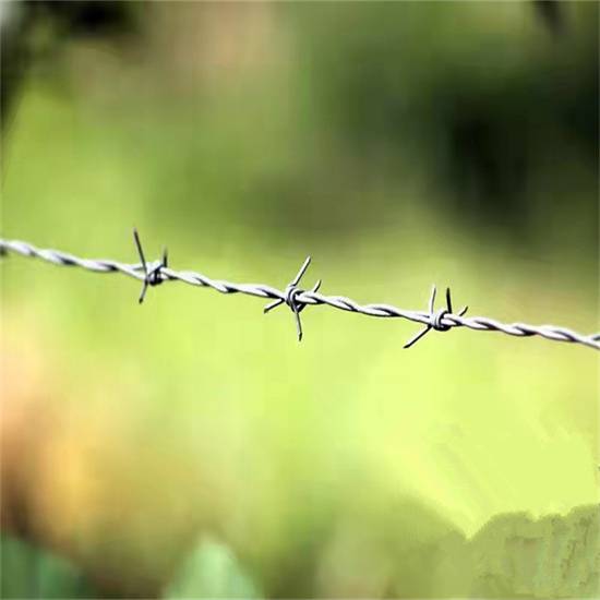 西宁镀锌刺绳厂家海北藏族带刺铁丝网乐博供应