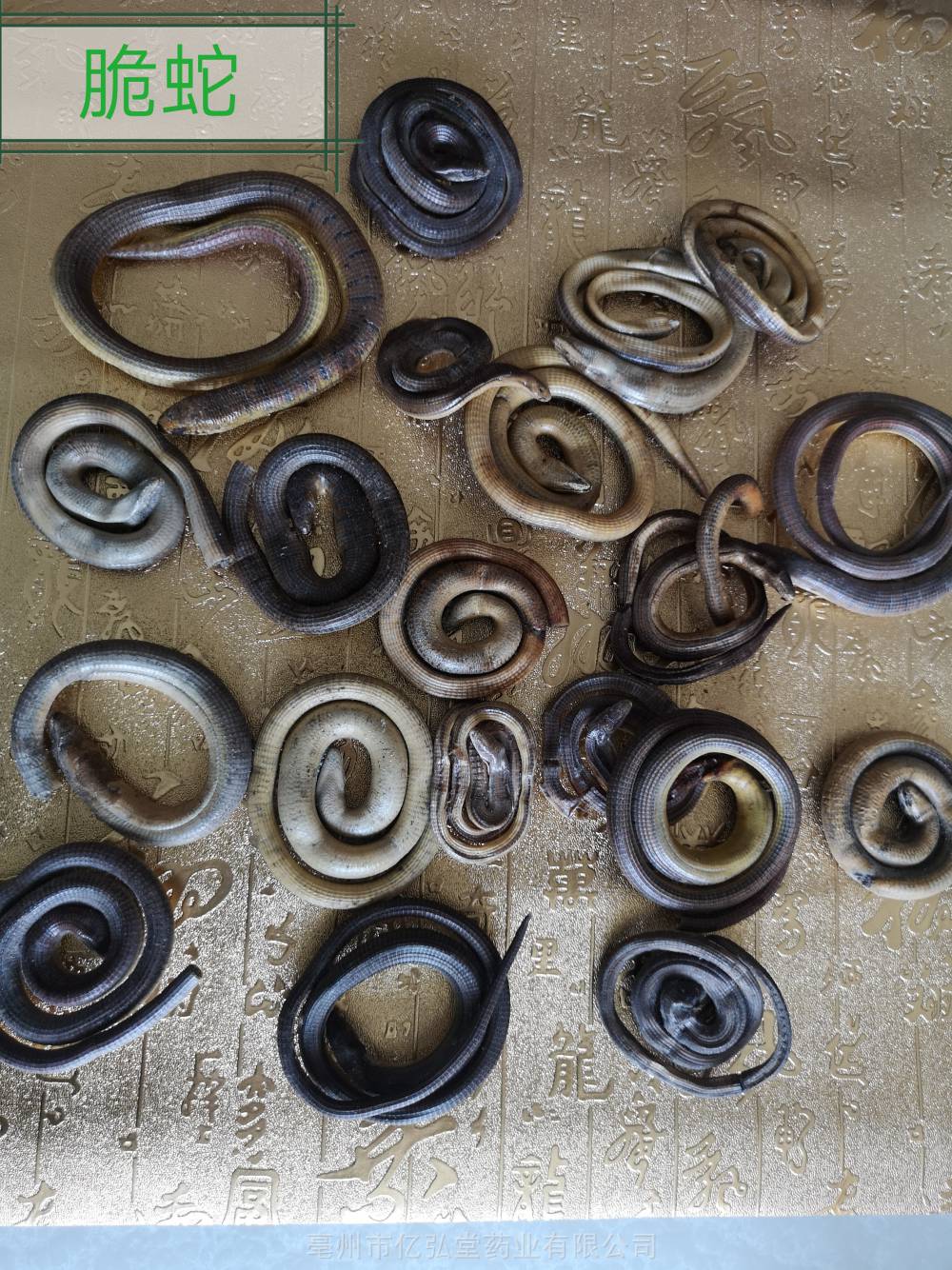 【中药材脆蛇功效 四川野生无脚蜥蛇一斤】价格_厂家 - 中国供应商