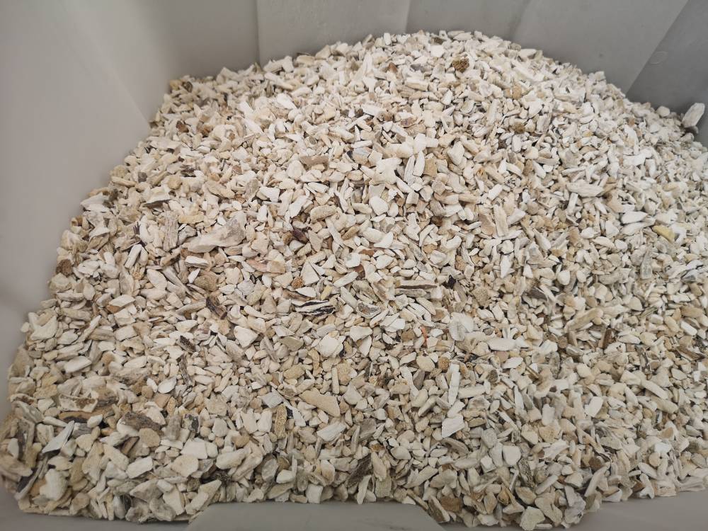 天然龙骨粉价格多少钱一斤