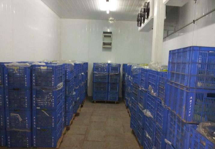 郏县蔬菜水果冷库 蔬菜冷库