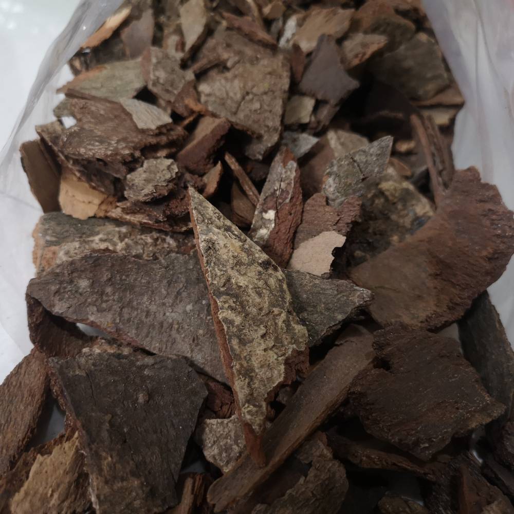 野生钻地风中药材供应皮类药材冷背奇不常用中药