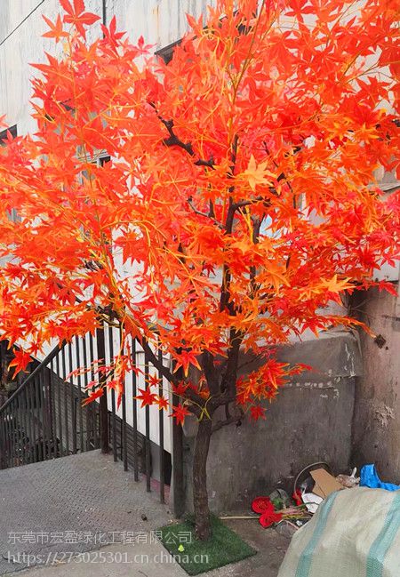 仿真紅楓樹楓葉樹造型樹定做假紅楓酒店商場景觀樹裝飾大型紅楓樹