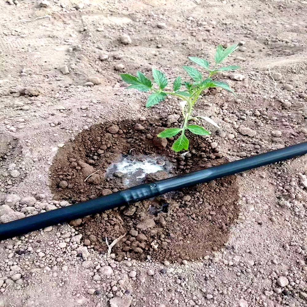 节水灌溉pe灌水管材 农业灌溉给水管—绿化树使用内镶滴灌管效果