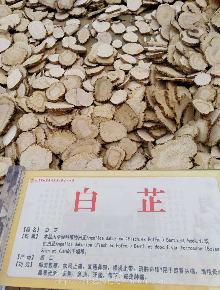 中药材白芷功效与作用白芷片白芷个泽芬白茞香白芷