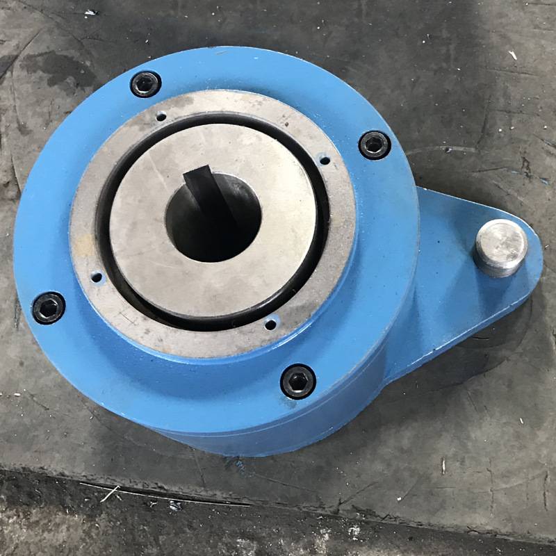 nf非接触式逆止器带式输送机斗式提升机刮板机nfa逆止器