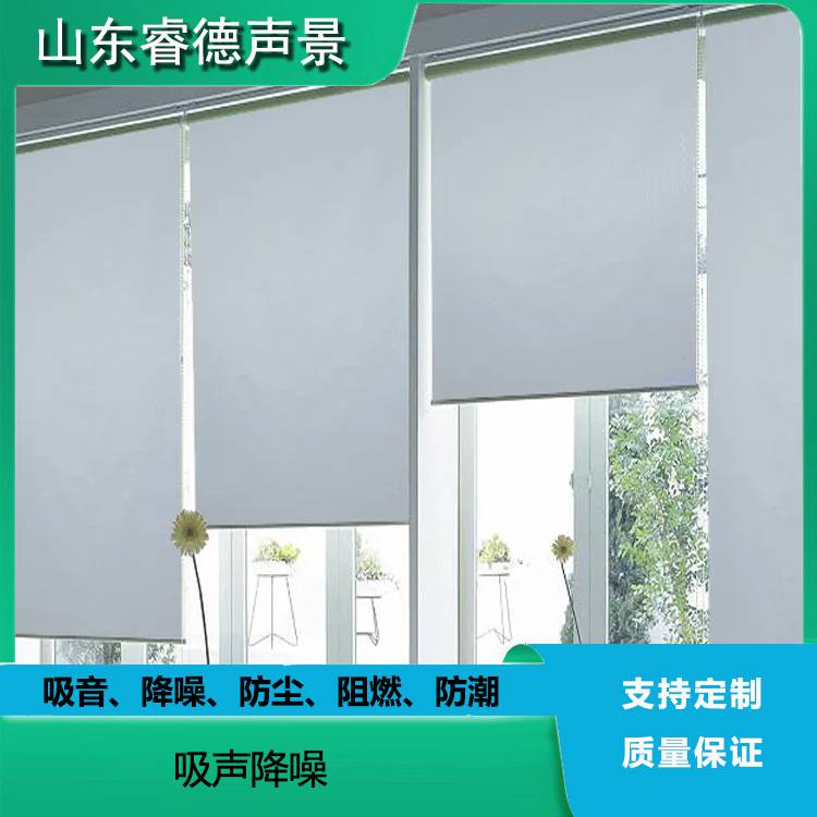 rayde 阳光面料遮阳帘 定制办公室会议室家居 B1级阻燃吸音降噪卷帘