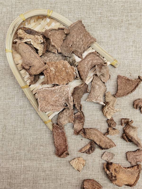 罗锅底种苗种植土马兜铃的药用功效罗锅底收购多少钱斤罗锅底别名叫