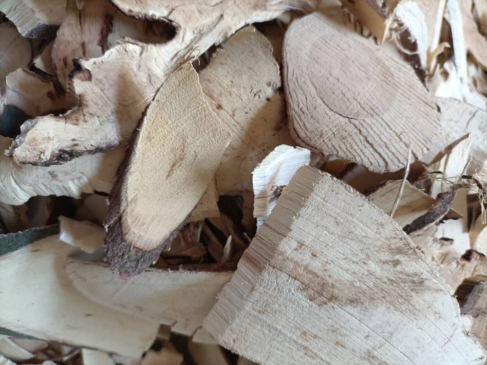 中药材白背根批发白背根的价格