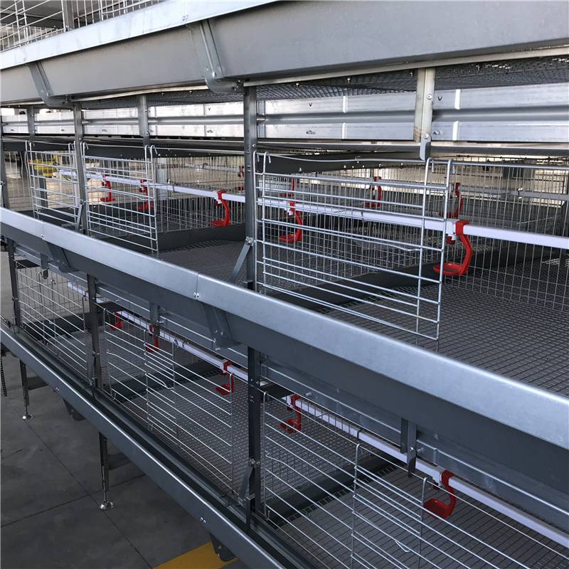 河南金凤层叠育雏笼小鸡笼蛋鸡笼种鸡笼养殖笼具