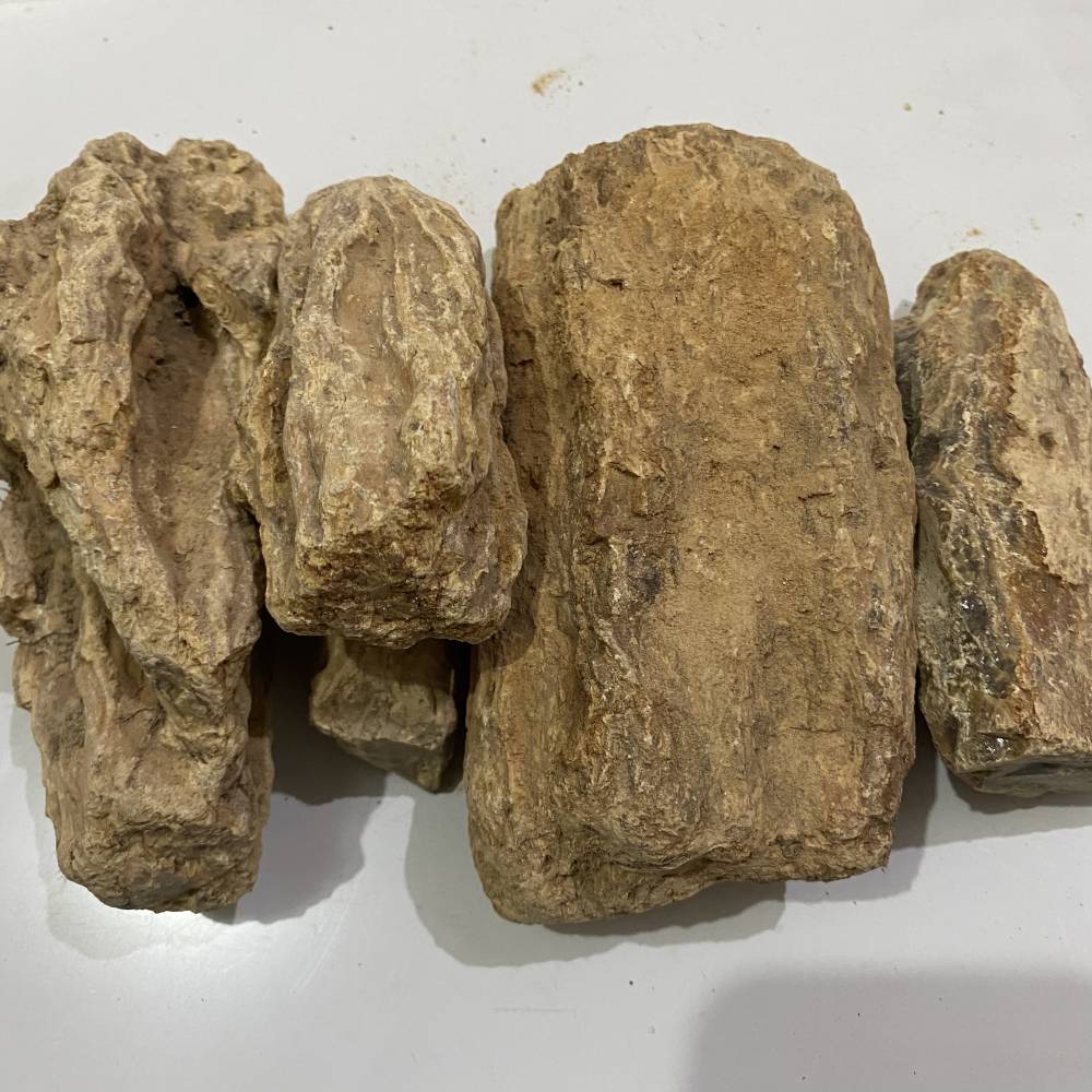 中药材琥珀-琥珀的药效和价格