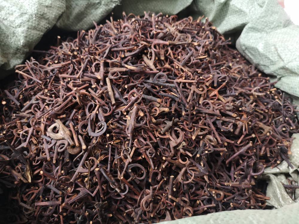 中药材钩藤功效与作用钓藤吊藤钩藤钩子钓钩藤莺爪风金钩藤挂钩藤钩丁