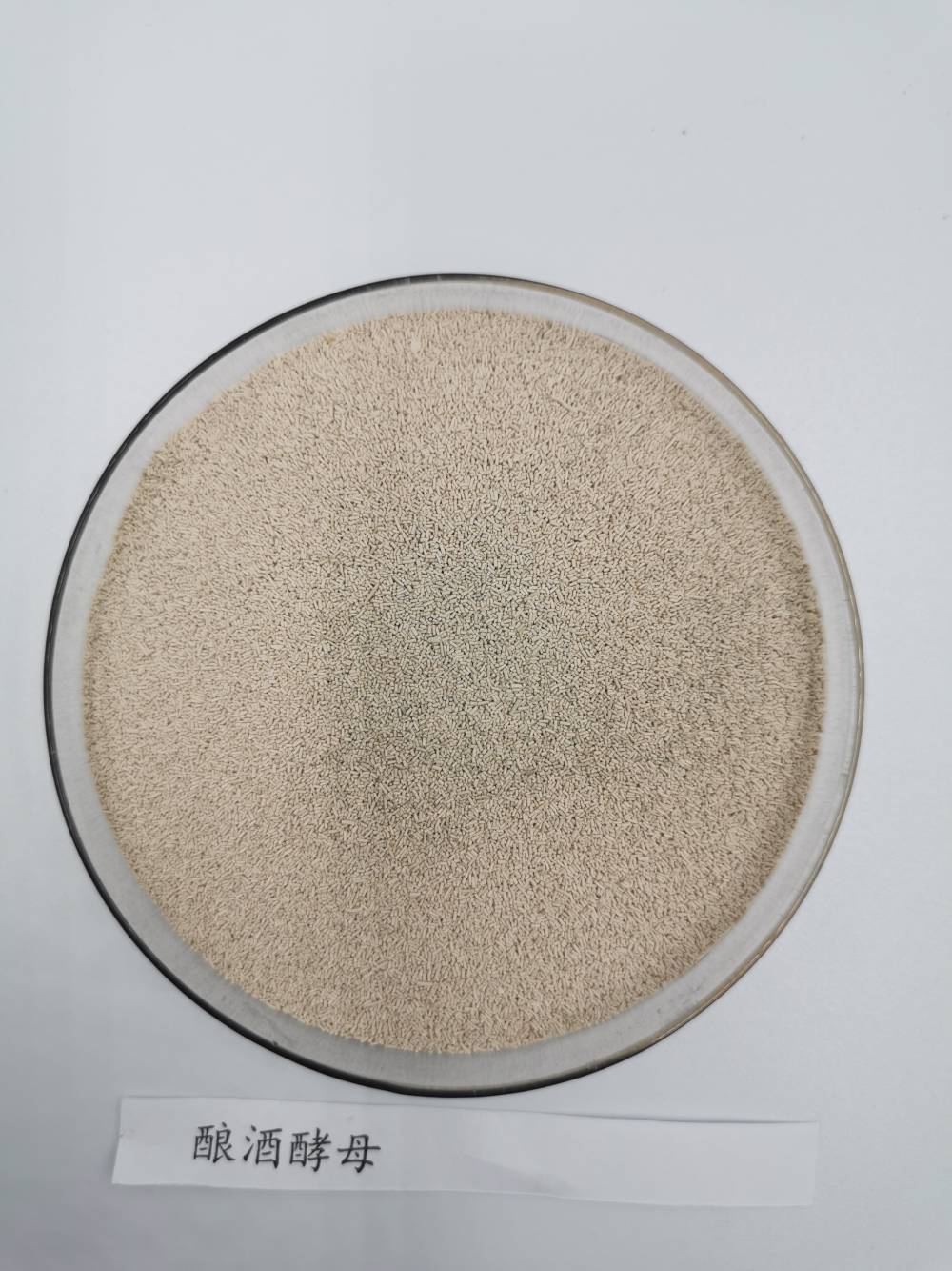 工业酒厂用的酵母酒精发酵酵母酿酒酵母厂家