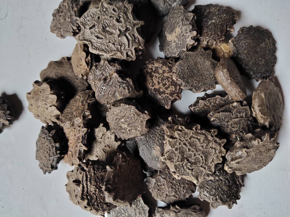 中药材狼毒今日价格狼毒新货