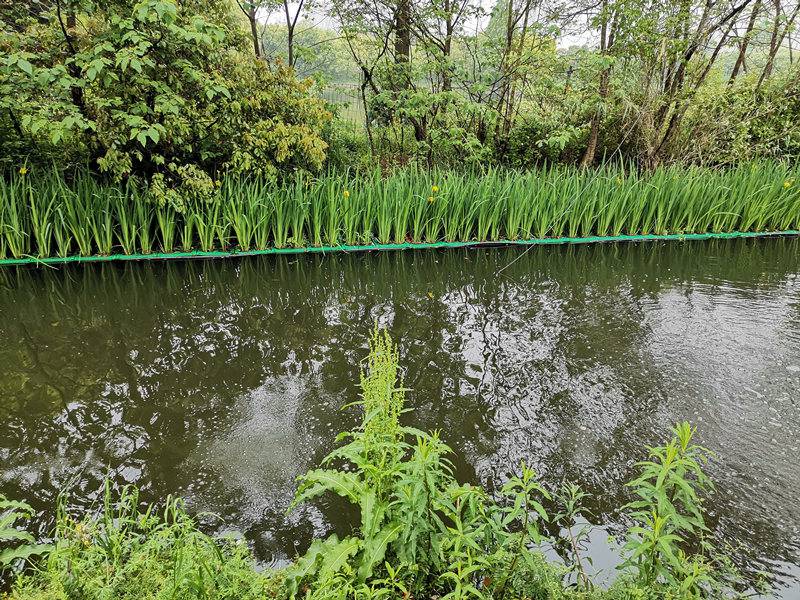 人工生态浮岛安装,负责施工养护管理,水体绿化浮岛
