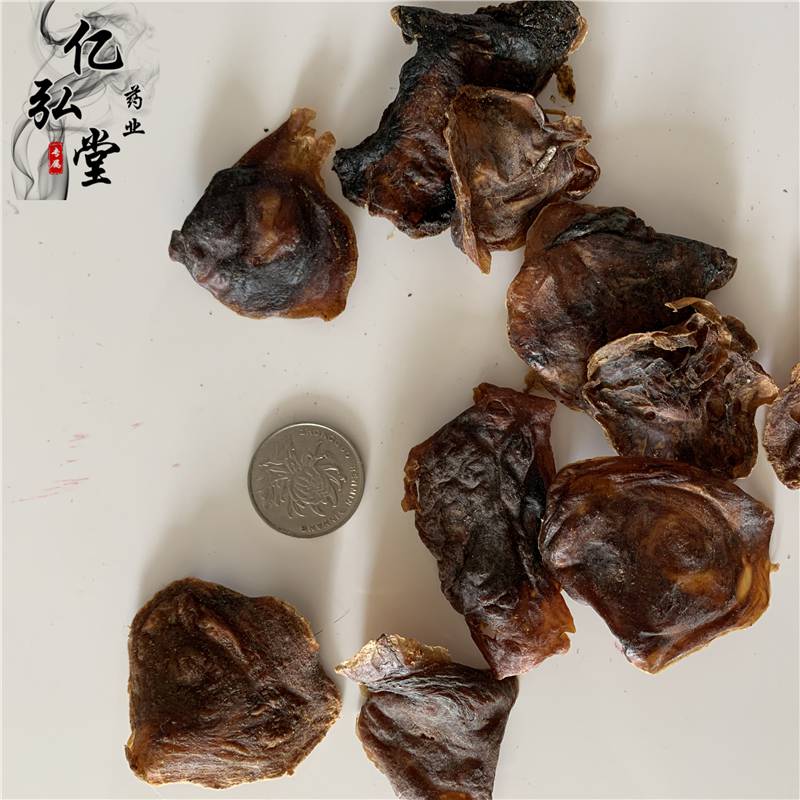 正宗猫胞衣直发猫胞衣产地货源